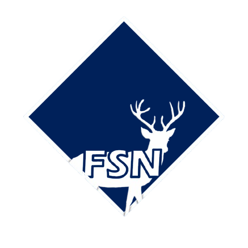 FSN Logo